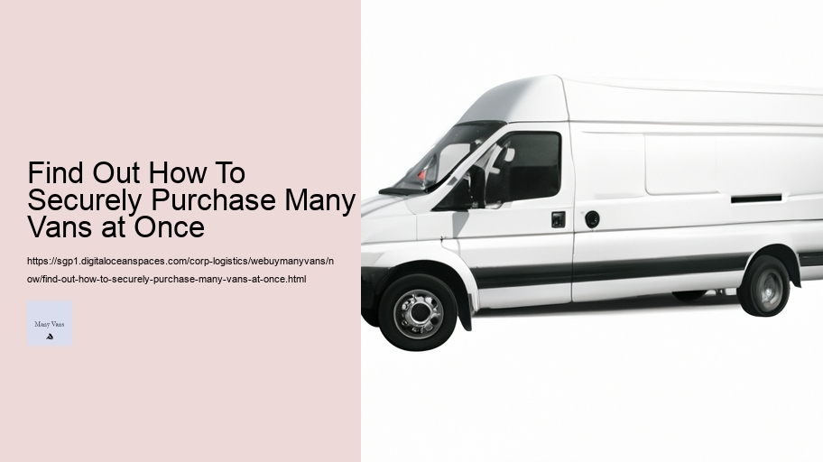 Find Out How To Securely Purchase Many Vans at Once 