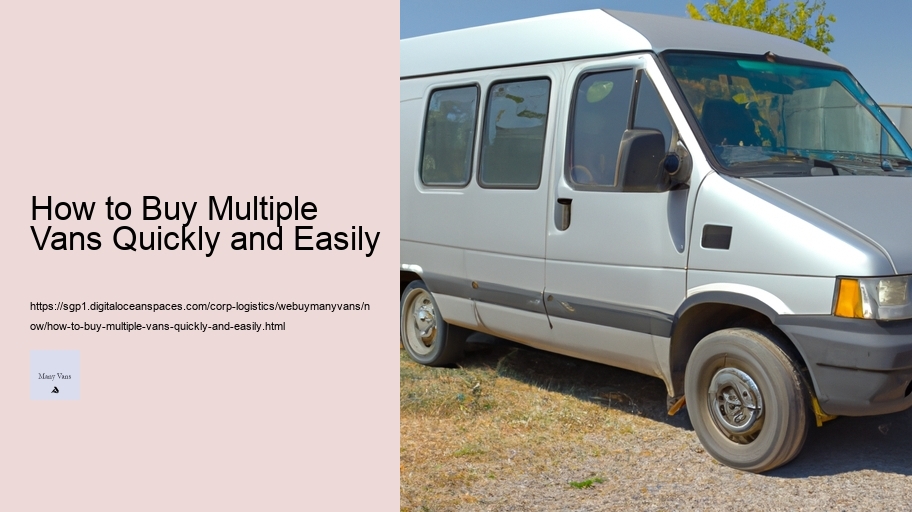 How to Buy Multiple Vans Quickly and Easily 