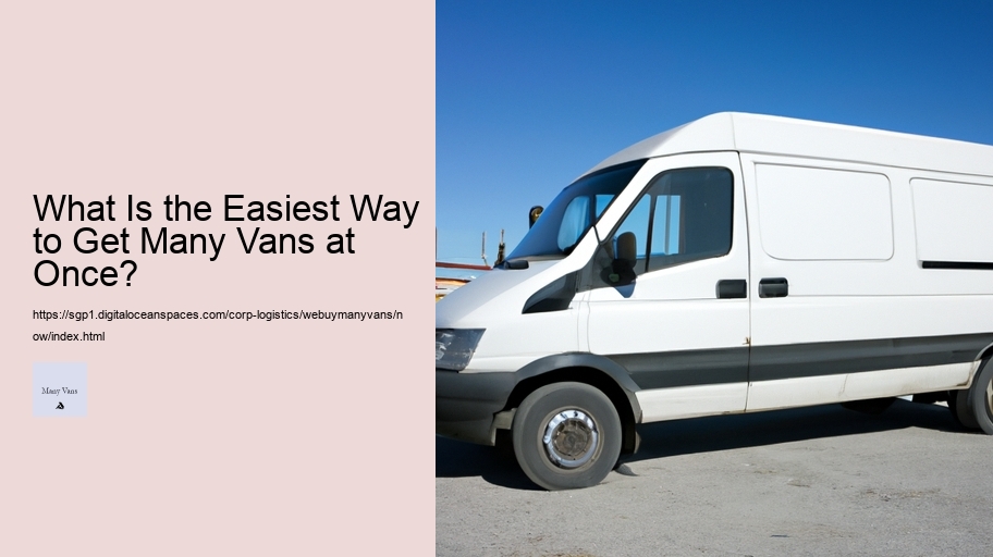 What Is the Easiest Way to Get Many Vans at Once?