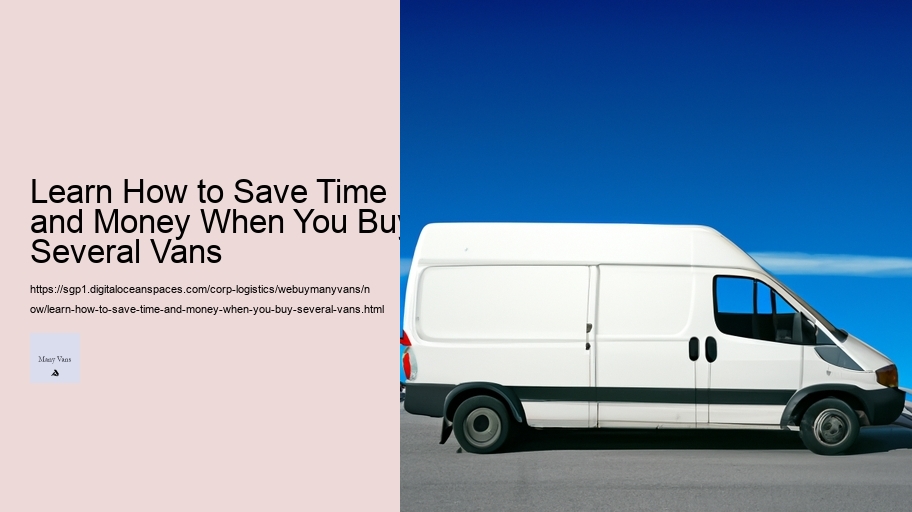 Learn How to Save Time and Money When You Buy Several Vans 