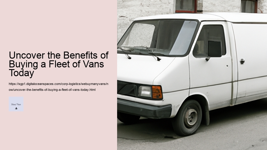 Uncover the Benefits of Buying a Fleet of Vans Today 