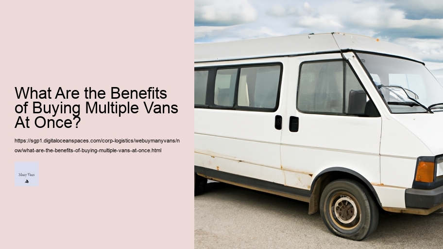 What Are the Benefits of Buying Multiple Vans At Once? 