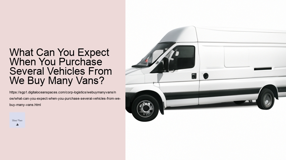 What Can You Expect When You Purchase Several Vehicles From We Buy Many Vans? 