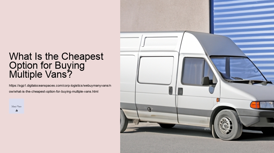 What Is the Cheapest Option for Buying Multiple Vans?