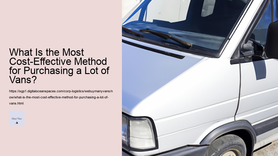 What Is the Most Cost-Effective Method for Purchasing a Lot of Vans? 