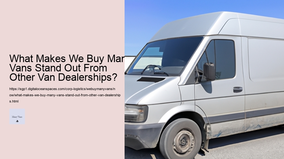 What Makes We Buy Many Vans Stand Out From Other Van Dealerships? 