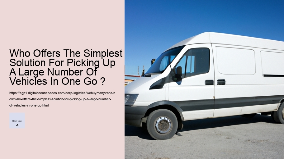 Who Offers The Simplest Solution For Picking Up A Large Number Of Vehicles In One Go ? 