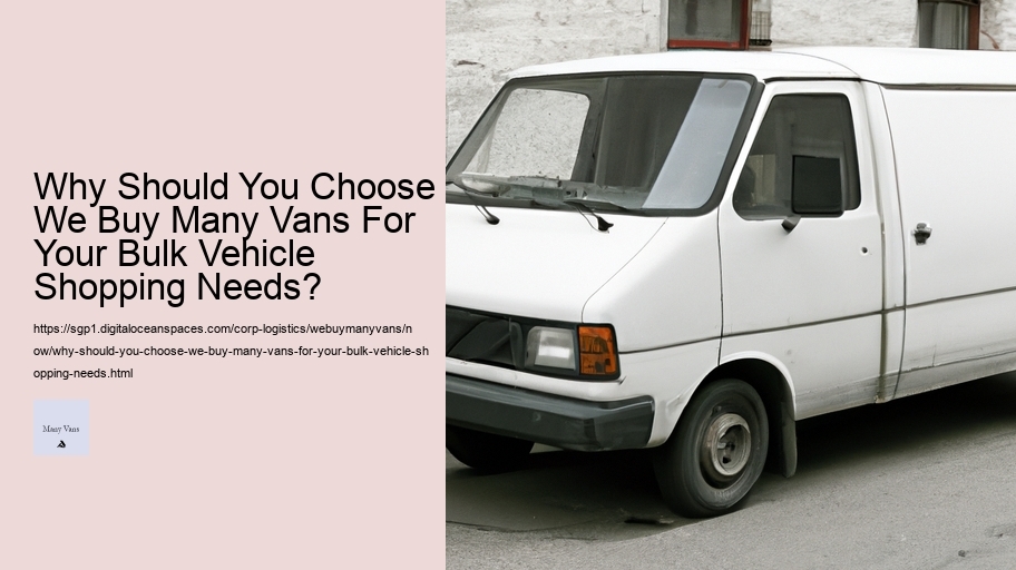 Why Should You Choose We Buy Many Vans For Your Bulk Vehicle Shopping Needs?