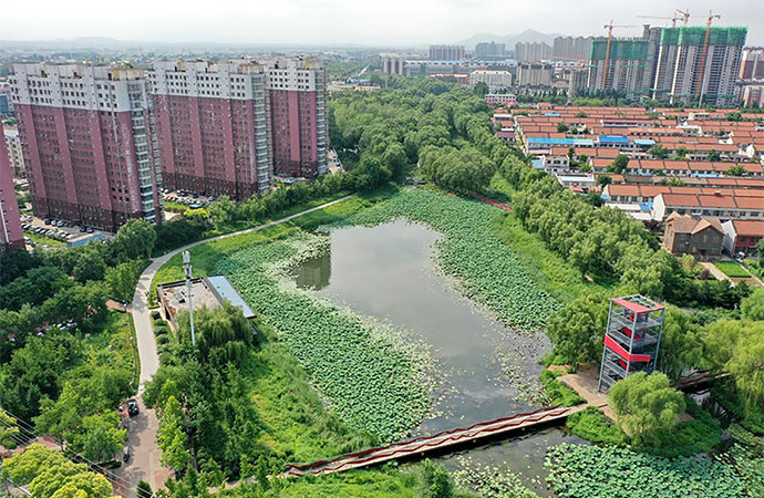 Can a Sponge City Tackle Flooding in Dhaka?