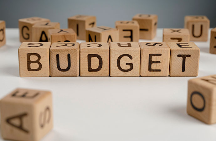 A budget for tough times: Can the finance minister rise to the challenge?