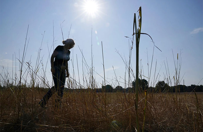 Rethinking Emissions Targets in Developing Countries