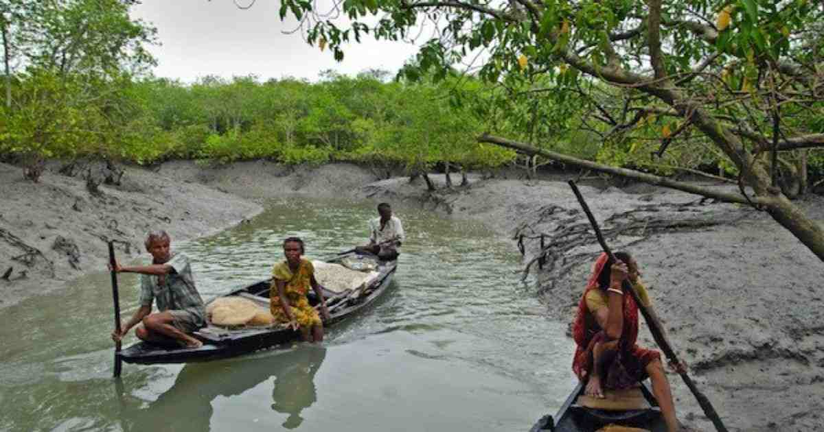 Sundarban Tourism