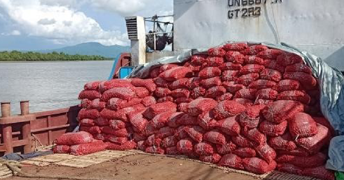  Onion import from Myanmar 