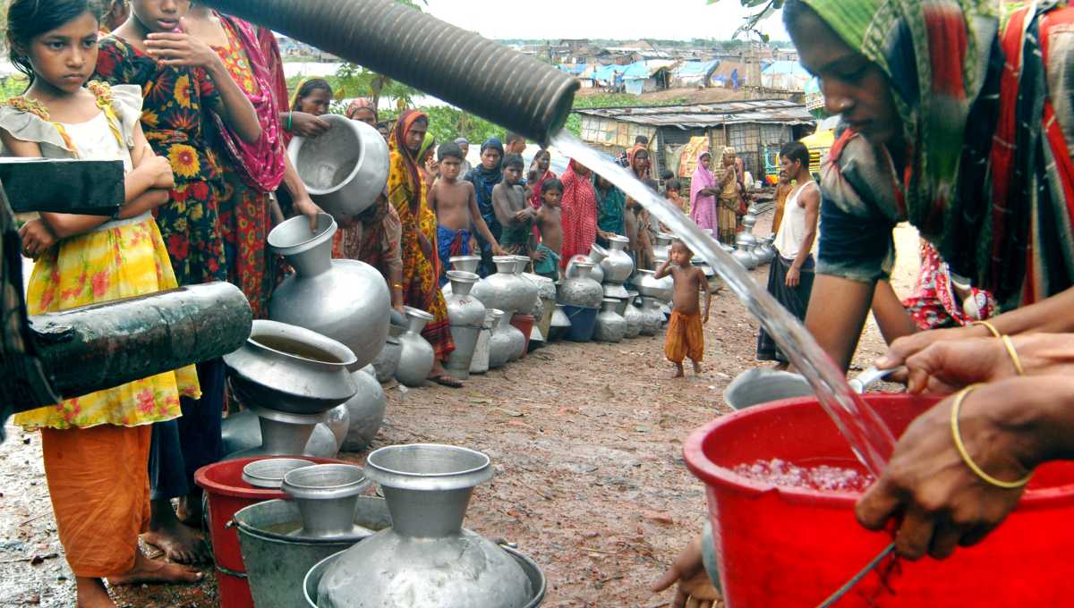 E. coli bacteria present in 80pc of water taps in Bangladesh: World Bank