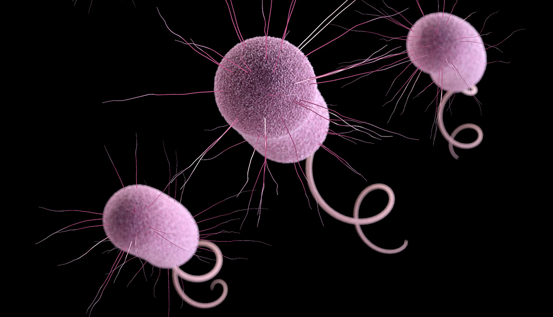 Superbugs can be transmitted via plant foods