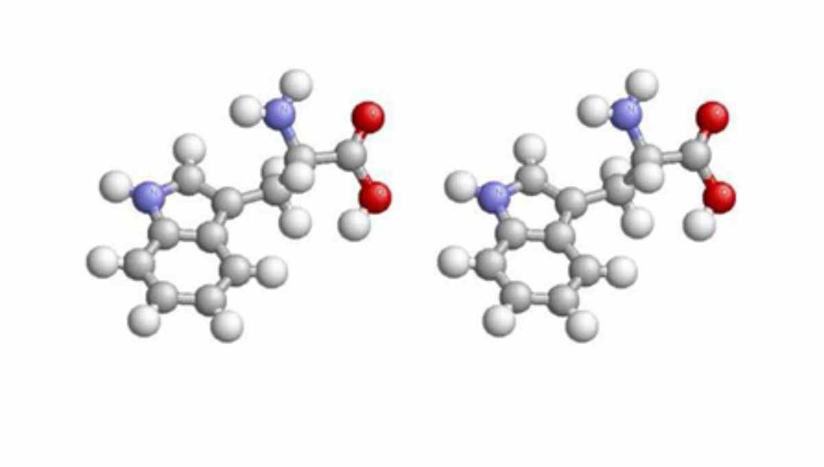 Fast, efficient way to build amino acid chains developed