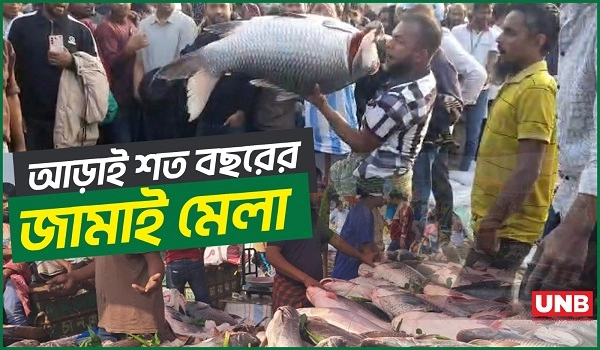 গাজীপুরে আড়াই শত বছরের ঐতিহ্যবাহী জামাই মেলা;মাছের সঙ্গে সম্পর্ক আর সংস্কৃতির উৎসব | Gazipur | UNB