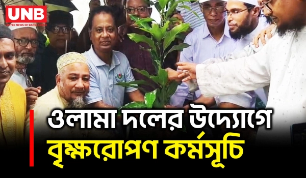 কলাপাড়ায় ওলামা দলের বৃক্ষরোপণ কর্মসূচি উদ্বোধন করলেন এমপি মোশাররফ | Mosharraf Hossain | BNP | UNB