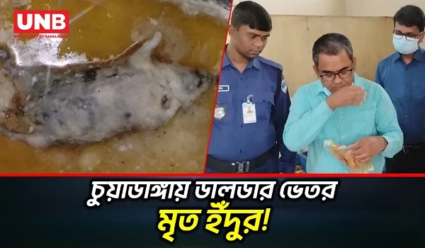 চুয়াডাঙ্গায় বেকারিতে ডালডায় মৃত ইঁদুর; দেড় লাখ টাকা জরিমানা | Chuadanga Bakery | Dead Rat | UNB