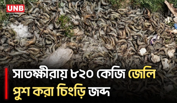 সাতক্ষীরায় ৮২০ কেজি জেলি পুশ করা বাগদা ধ্বংস করে ব্যবসায়ীকে জরিমানা | Satkhira Shrimp | UNB