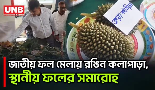 কলাপাড়ায় জাতীয় ফল মেলা শুরু, কৃষকদের উৎসবমুখর অংশগ্রহণ | FruitFair | Patuakhali | UNB
