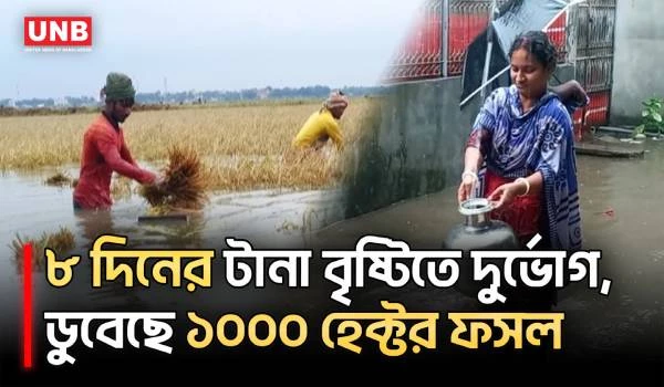 বাগেরহাটে টানা বৃষ্টিতে নিম্নাঞ্চল প্লাবিত, শিক্ষার্থী ও শ্রমজীবীদের দুর্ভোগ | Bagerhat | Rain | UNB