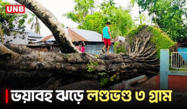 কুষ্টিয়ায় হঠাৎ ভয়াবহ ঝড়, ল/ণ্ড/ভ/ণ্ড ৩ গ্রাম! উপড়ে গেল শতবর্ষী বটগাছ | Storm Damage | Disaster | UNB
