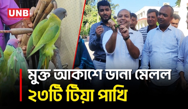চাঁপাইনবাবগঞ্জে ২৩টি টিয়া পাখি উদ্ধার ও অবমুক্ত | Chapainawabganj | Parrot Rescue | UNB