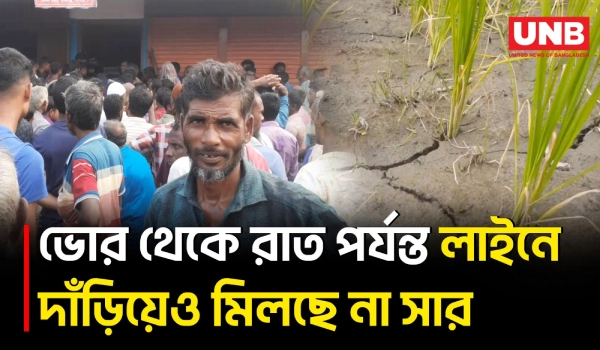গাইবান্ধায় বিদ্যুৎ বিভ্রাট ও তীব্র সার সংকটে ক্ষুব্ধ আমন চাষিরা | Farmers | Fertilizer Crisis | UNB