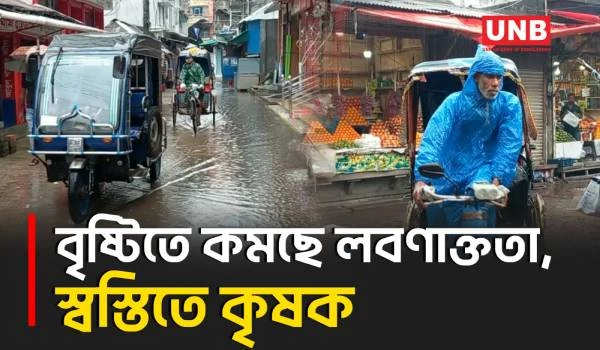 বাগেরহাটে টানা বৃষ্টি কৃষকদের জন্য বড় আশীর্বাদ | Continuous Rains | Big Blessing | Farmers | UNB