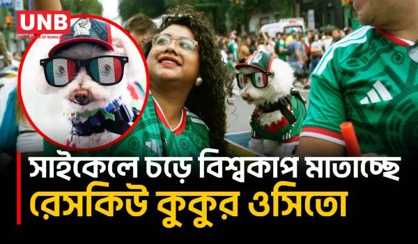 মেক্সিকো জার্সি পরে বিশ্বকাপে ভাইরাল রেসকিউ কুকুর ওসিতো | Mexican Rescue Dog “Osito” | UNB