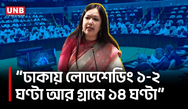 সারা দেশে লোডশেডিং নিয়ে সংসদে ক্ষোভ ঝাড়লেন রুমিন ফারহানা | Rumeen Farhana | Parliament | UNB