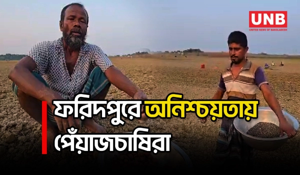 সার-জ্বালানি ও শ্রমিকের বাড়তি খরচে অনিশ্চয়তায় ফরিদপুরের মুড়িকাটা পেঁয়াজচাষিরা | Faridpur | UNB