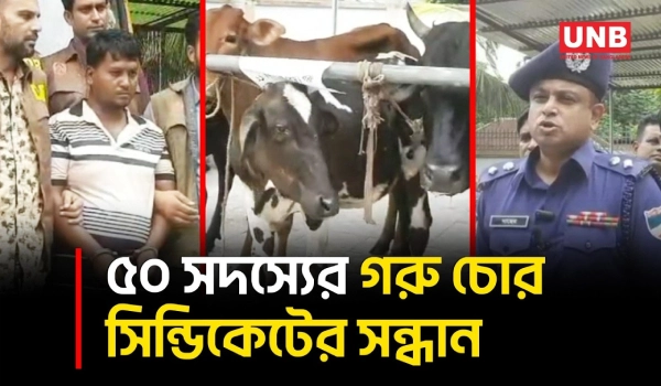 বাগেরহাটে আন্তঃজেলা গরু চোর সিন্ডিকেটের হোতাসহ ৩ আটক, ১১ গরু উদ্ধার | Bagerhat | Cow Theft | UNB