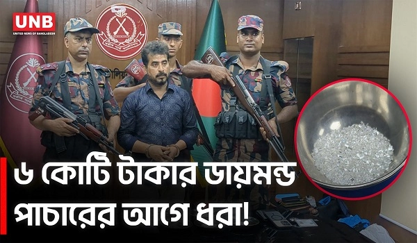 যশোরে ৬ কোটি টাকার হীরাসহ ভারতীয় নাগরিক আটক | BGB | Diamond Seizure | Jashore | UNB