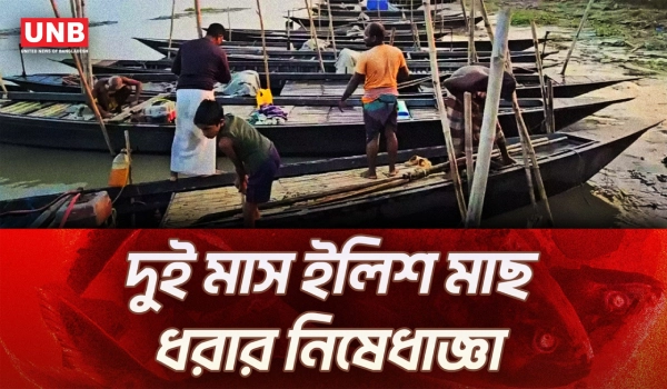 ১ মার্চ থেকে ইলিশ অভয়াশ্রমে মাছ ধরা নিষিদ্ধ, পটুয়াখালীতে কর্মহীন হবে ১ লাখ জেলে | Hilshg Ban | UNB