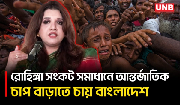 আন্তর্জাতিক মহলে বাংলাদেশের পক্ষে কথা বলার শক্তি বেড়েছে: শামা ওবায়েদ | Shama Obaed | UNB