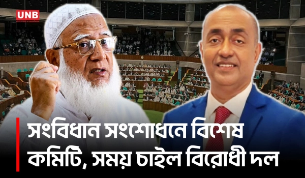 সংবিধান সংশোধনের বিশেষ কমিটিতে বিরোধীদলকে ৫ সদস্য দেয়ার আহ্বান | Constitution Reform | UNB