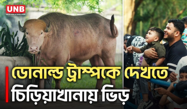 ঈদের ছুটিতে জাতীয় চিড়িয়াখানায় ভিড়, মূল আকর্ষণ সাদা মহিষ ‘ডোনাল্ড ট্রাম্প’ | Donald Trump | UNB