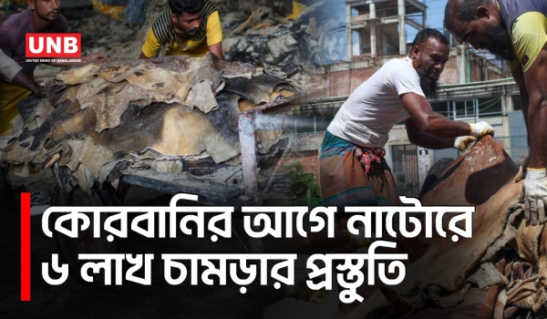 নাটোরে ৬ লাখ কাঁচা চামড়া সংগ্রহের লক্ষ্য, লাম্পিস্কিনে দুশ্চিন্তায় ব্যবসায়ীরা |Natore |Qurbani | UNB