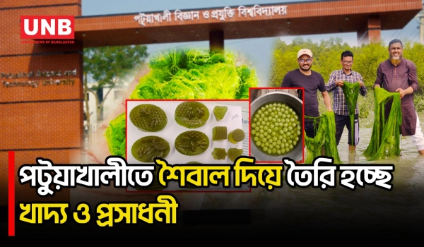 সামুদ্রিক শৈবাল চাষে পটুয়াখালী উপকূলে খাদ্য ও কর্মসংস্থানের নতুন সম্ভাবনা| Patuakhali | Seaweed |UNB