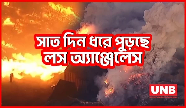 কী কারণে থামছে না অ্যাঞ্জেলেসের আগুন? | California | Wildfire | Los Angeles Fire | UNB