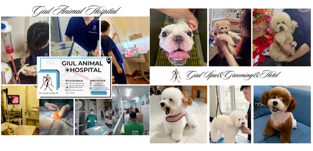 Công Ty TNHH Giul Animal Hospital - Bệnh Viện Thú Y GIUL