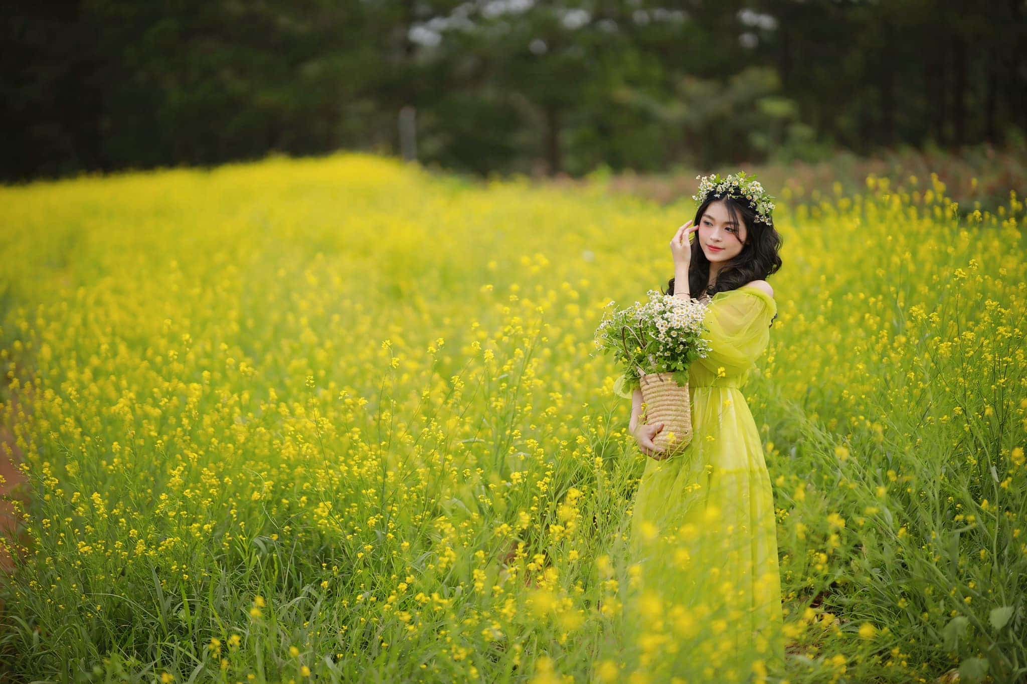 Cỏ Boho