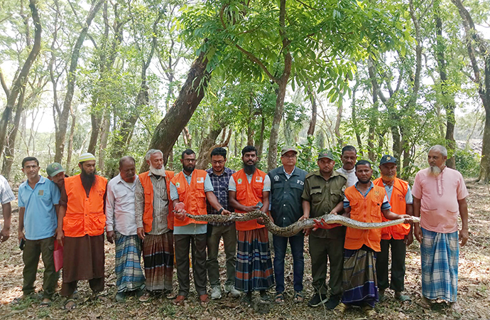 VTRT rescues 10-foot python from Bagerhat, releases it into Sundarbans