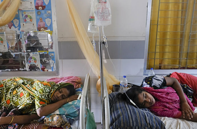 Silent Victims: How women in their prime carry the burden of dengue