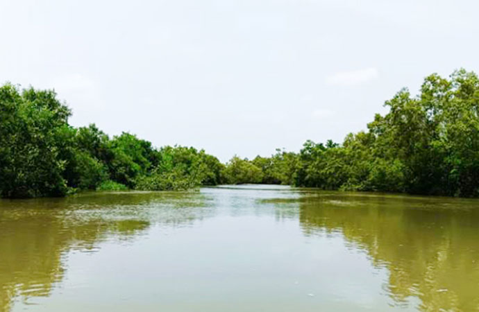 Caught between tigers and pirates; Sundarbans fishing community in fear