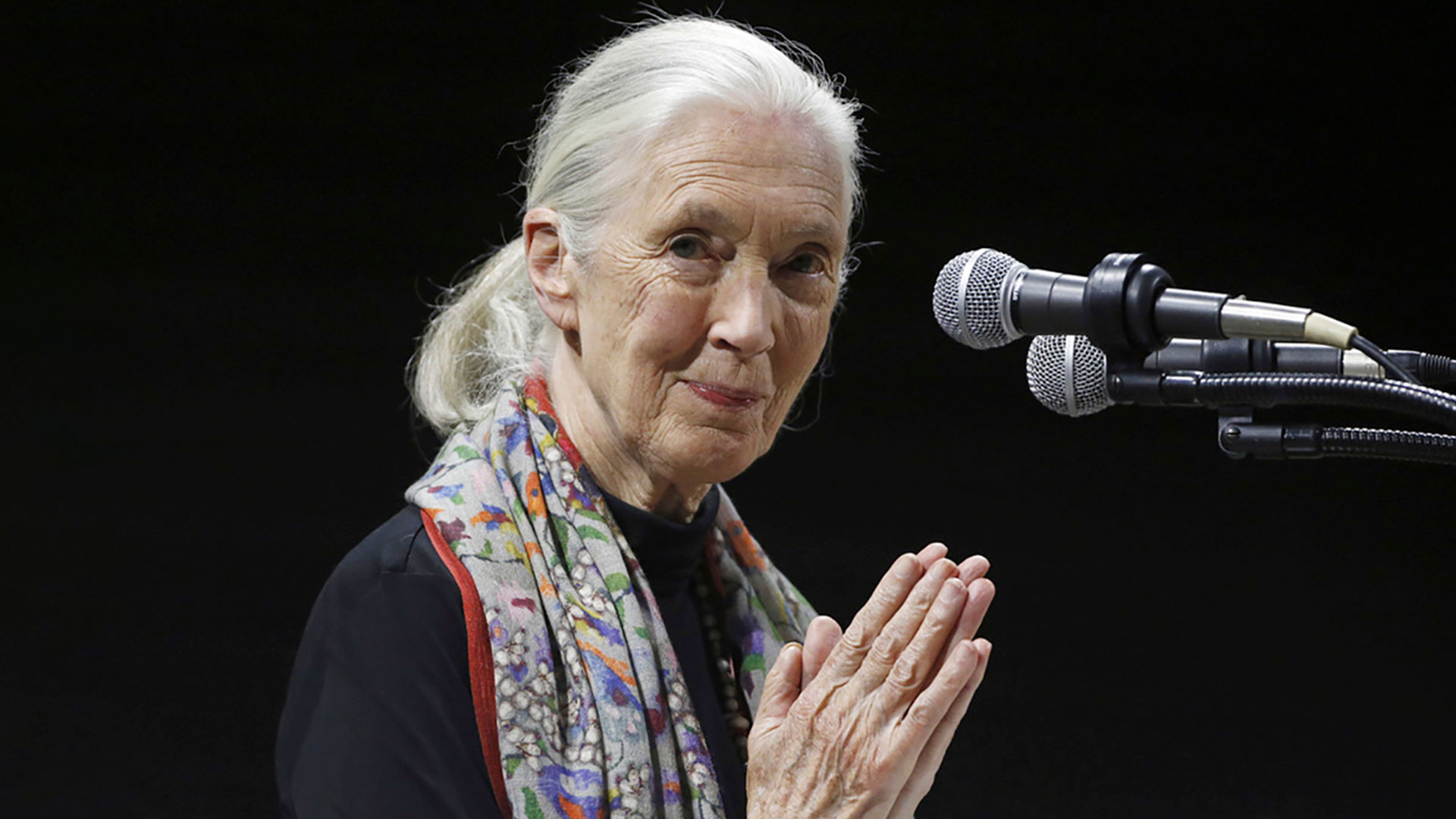 The Goodness of Jane