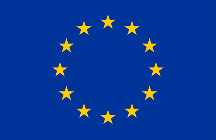 Can South Asia Emulate the European Union? A Dream or a Distant Reality?