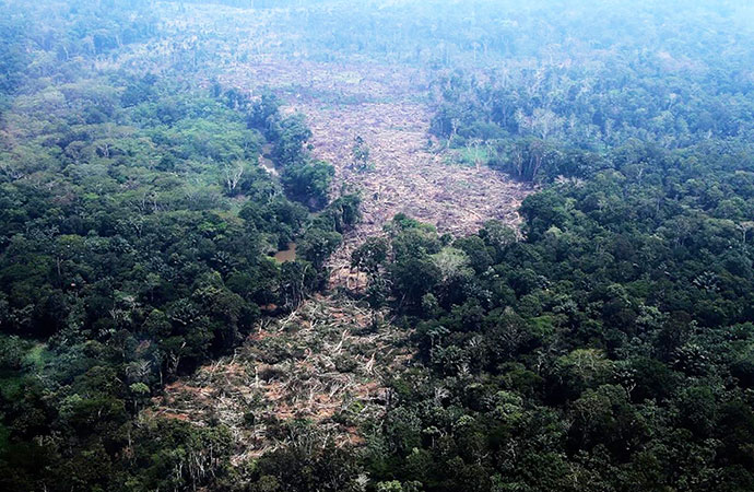 How close is the Amazon to a ‘tipping point?’ Brazil’s election could help shape its future